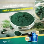 Tảo Spirulina Spimate Plus - Thực Phẩm Thiên Nhiên Hoàn Hảo Cho Mọi Người - 9Mart.vn