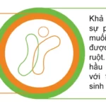 Men Vi Sinh Công Nghệ Bao Kép Thế Hệ Thứ 4 - 9Mart.vn