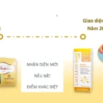 Bao Bị Mẫu Mã Mới Của Lacclean Gold Lab 2024 - 9Mart.vn