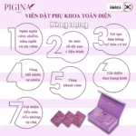 Công dụng Viên đặt phụ khoa Pigina (Set tối ưu 18 viên) chính hãng giá tốt - 9Mart.vn
