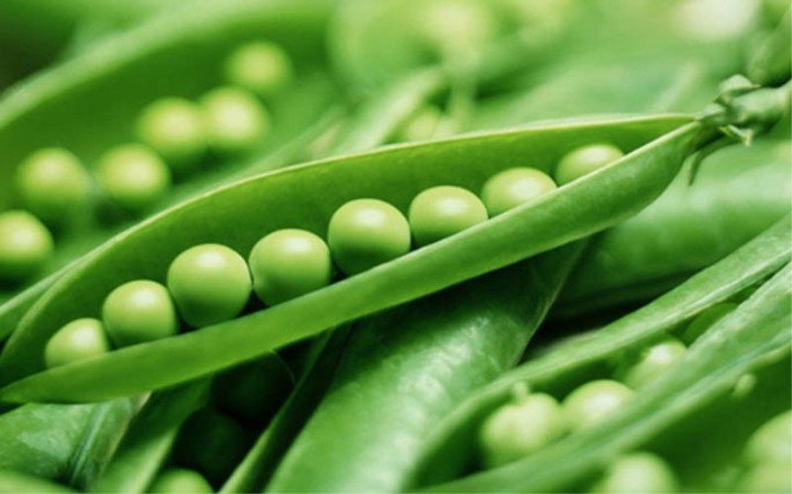 20200528_043319_947793_hat-dau-trang-co-to-max-1800x1800-1-2 Đậu Hà Lan cũng là một loại đậu trắng