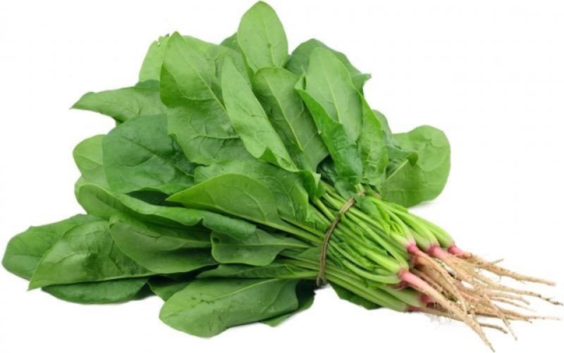 20200604_083252_928637_rau_bina-max-1800x1800-1 Rau bina