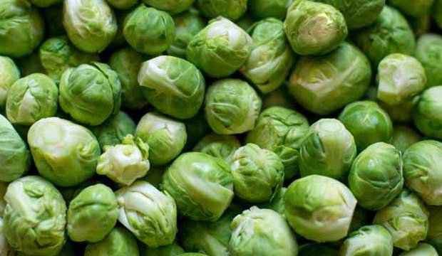 20200707_030942_688697_bruksel_lahanasi-max-1800x1800-1 Rau mầm brussels