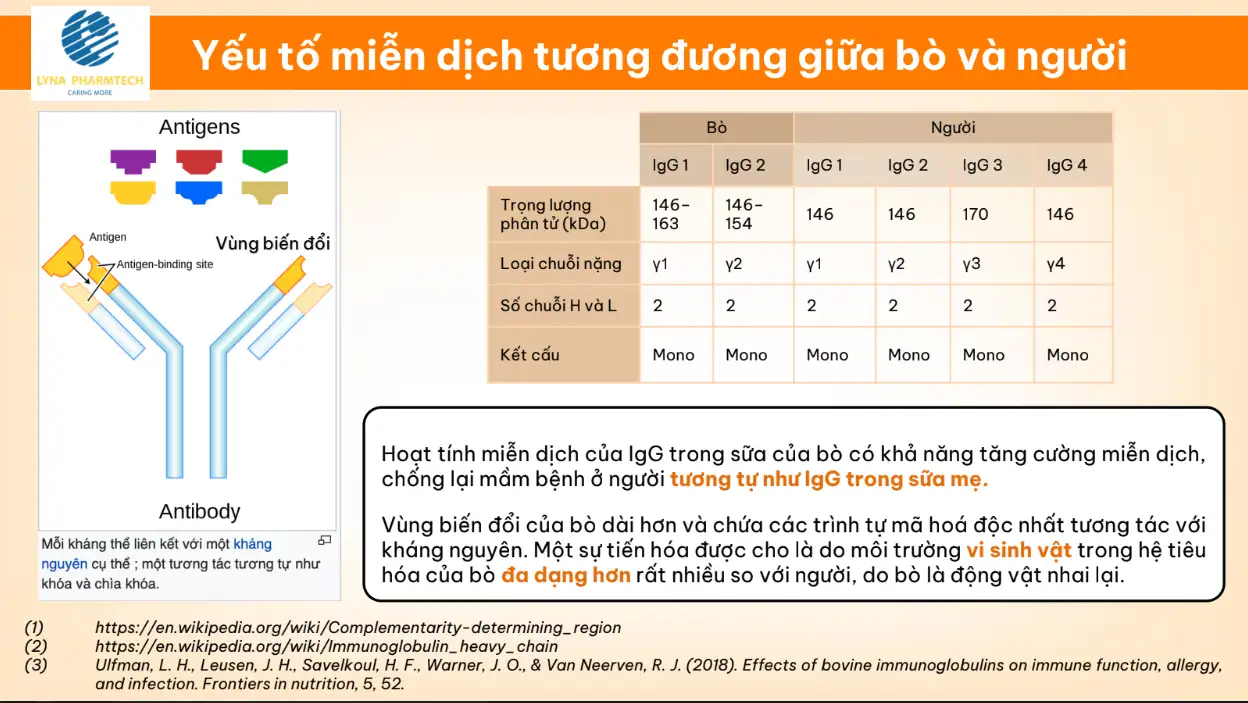 Yếu Tố Miễn Dịch Tương đương Giữa Bò Và Người- 9mart.vn