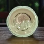 Bên Trong Tuýp Viên C Sủi Thế Hệ Mới Ester C - 9Mart.vn