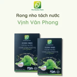 Rong Nho Tách Nước Vịnh Vân Phong - The Moshav Farm - 9Mart.vn
