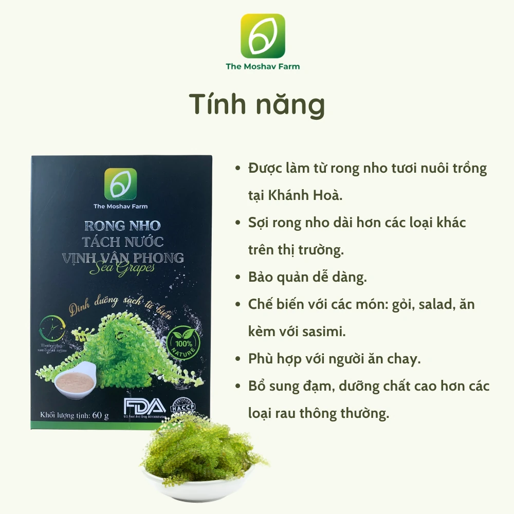 Tính Năng Và Công Dụng Của Rong Nho Tách Nước Vịnh Vân Phong - The Moshav Farm - 9mart.vn