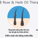 Liệu Pháp Tinh Dầu Hoa Hồng Và Thảo Mộc Trong Xịt Dưỡng Tóc Luub Q10 - 9Mart.vn