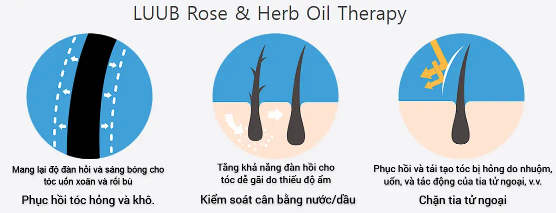 Liệu Pháp Tinh Dầu Hoa Hồng Và Thảo Mộc Trong Xịt Dưỡng Tóc Luub Q10 - 9mart.vn