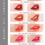 Bảng Màu Son Kem Khoáng C’choi - Mineral Lip Cream - Punar - 9Mart.vn