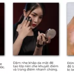 Cách Sử Dụng Phấn Nước C'choi Herbal Dd Cushion - Punar - 9Mart.vn