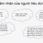 Cảm Nhận Của Khách Hàng Khi Dùng Smoothie Bonne - Sinh Tố Dinh Dưỡng Chuối Xoài Cam - 9Mart.vn