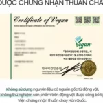 Chứng Nhận Thuần Chay Của Kem Dưỡng Phục Hồi Da Beyond Angel Aqua Cica Cream Vegan Formula - 9Mart.vn