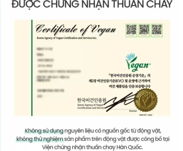 Chứng Nhận Thuần Chay Của Kem Dưỡng Phục Hồi Da Beyond Angel Aqua Cica Cream Vegan Formula - 9Mart.vn