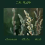 Kem Xả Tóc Beyond Healing Force Scalp Clinic Treatment Thuần Chay - 9Mart.vn