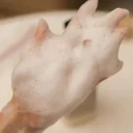 Tạo Bọt Sữa Tắm Dưỡng ẩm Beyond Deep Moisture Creamy Body Wash - Lg Vina - 9Mart.vn