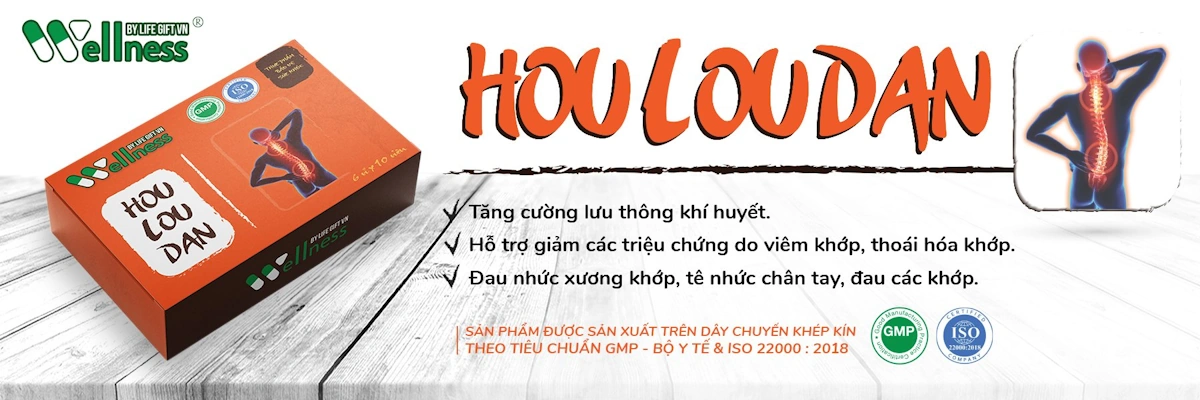 Hou Lou Dan - HỖ TrỢ XƯƠng KhỚp - Wellness By Life Gift Vn - 9mart.vn