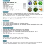 Thông Tin Thực Phẩm Hỗ Trợ Gout Urica Ligi - 9Mart.vn