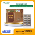 Thực Phẩm Bổ Khí Huyết Buxin Plus - 9Mart.vn
