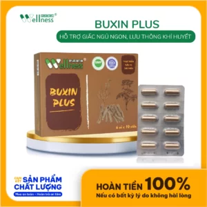 Thực Phẩm Bổ Khí Huyết Buxin Plus - 9Mart.vn