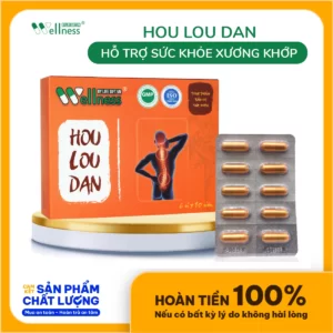 Thực Phẩm Giảm đau Xương Khớp Hou Lou Dan - 9Mart.vn