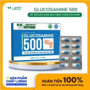 Thực Phẩm Làm Chậm Thoái Hóa Khớp Glucosamine 500 Life Gift - 9Mart.vn