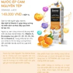 Nước ép Cam Cao Cấp Có Thịt Quả Cam Bonne 1 Lít - 9Mart.vn
