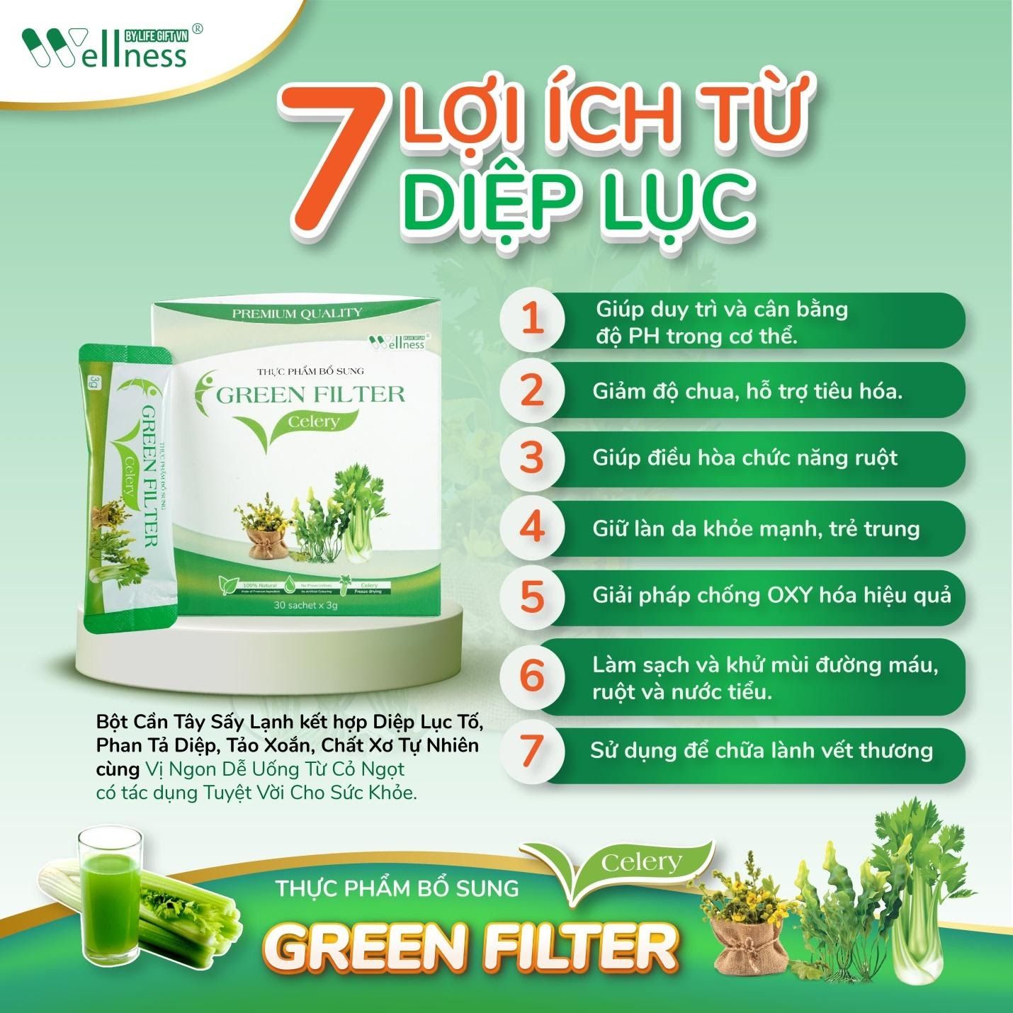 7 lợi ích từ Diệp lục - Thực phẩm bổ sung bột Cần tây – diệp lục Green Filter Celery – 9mart.vn