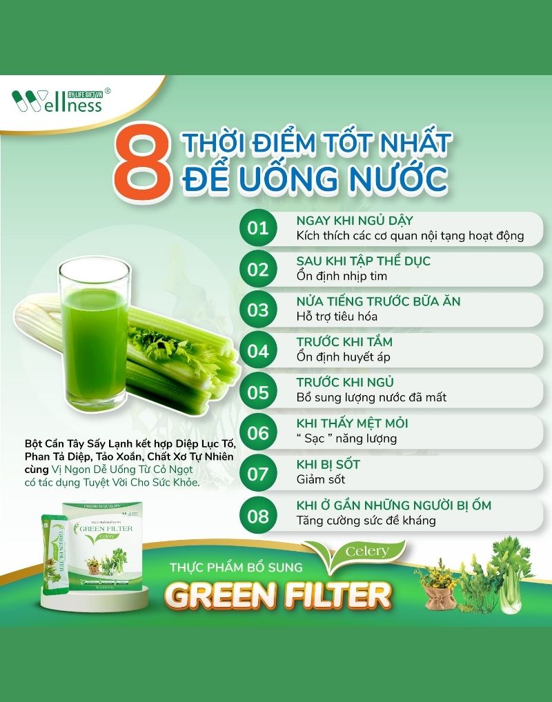 8 thời điểm tốt nhất để uống nước Cần tây – diệp lục Green Filter Celery thanh lọc thải độc - 9mart.vn