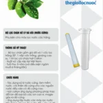 Thông Tin Bộ Lọc Chặn Xử Lý đá Vôi (nước Cứng)