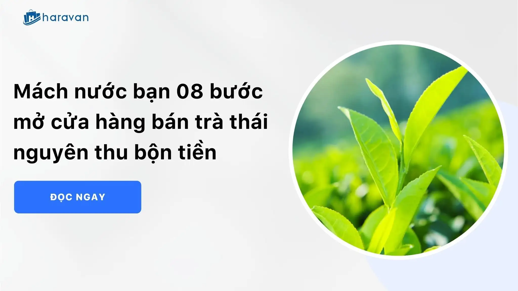 Mách nước bạn 08 bước mở cửa hàng bán trà thái nguyên thu bộn tiền
