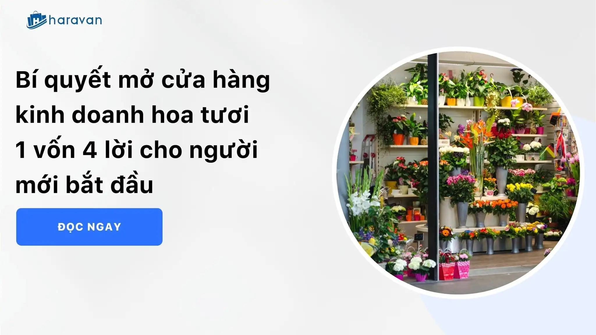 Bí quyết mở cửa hàng kinh doanh hoa tươi 1 vốn 4 lời cho người mới bắt đầu